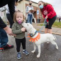 Shelter dogs get Thanksgiving field trips thanks to community volunteers