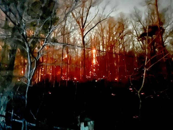 Downed electric line sparks large brush fire in Wayne | News ...