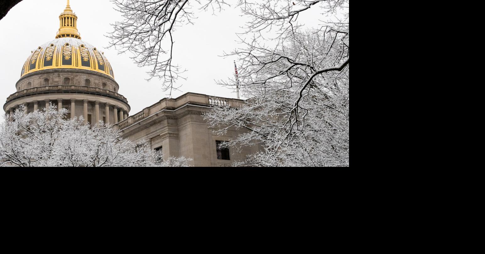 WV Senate OKs weakening guard against selenium pollution | News ...