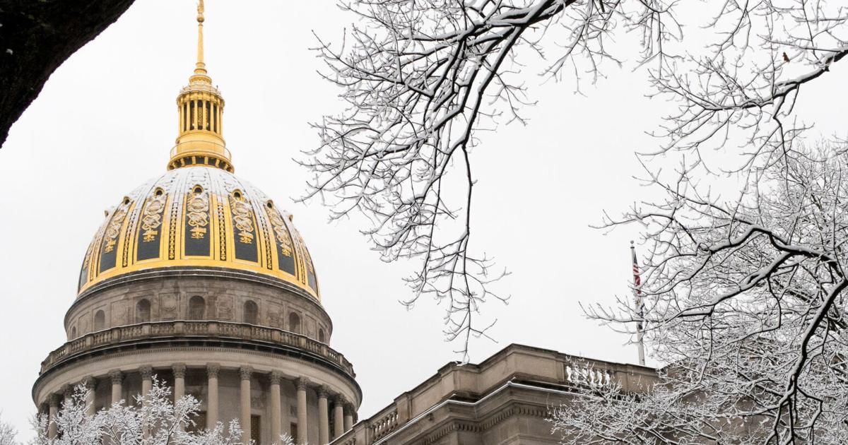 WV Senate OKs weakening guard against selenium pollution | News ...