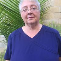Local Democrat receives statewide recognition