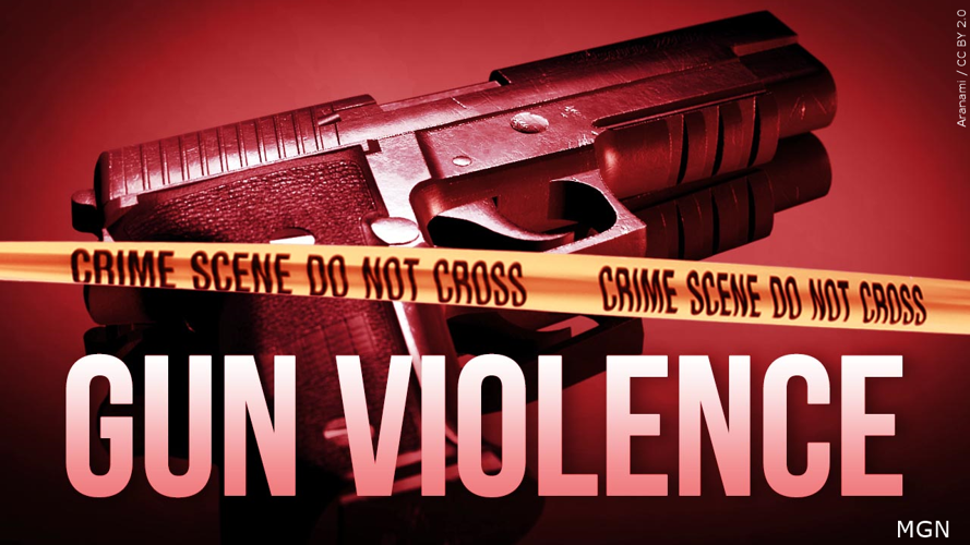 Gun Violence