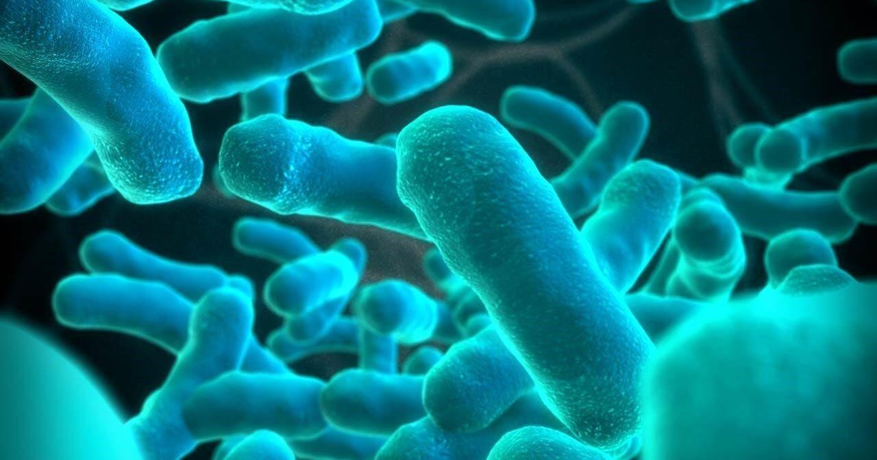Lake Como Closed for High Bacteria Levels - Vimarsana News
