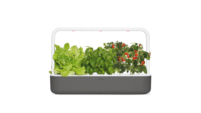 Indoor Hydroponic Garden: Can It Really Reduce Your Grocery Dependence?