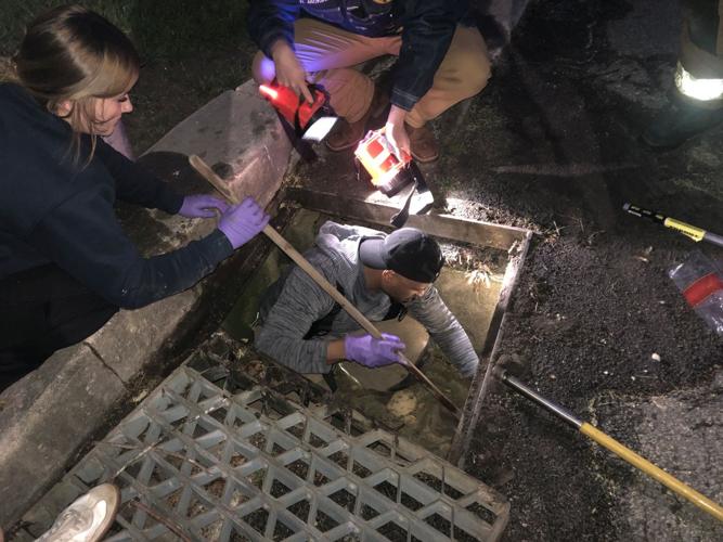 Delmar Duckling Rescue