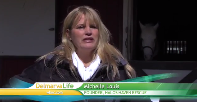 Halo’s Haven Rescue