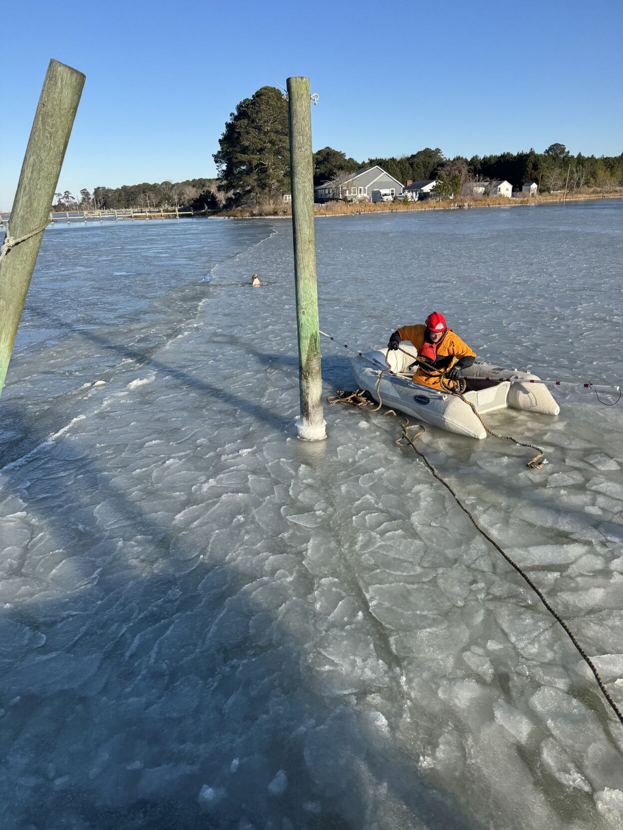 Onancock Fire Department Dog Rescue