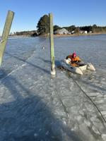 Onancock Fire Department Dog Rescue