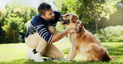 How Much Does Dog Boarding Cost in Glen Ellyn, IL? Medical vs Standard Rates