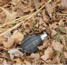 State Police: Fake Grenade Found at Vacant Dorchester County Home