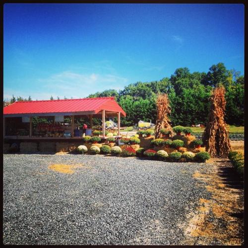 601522_614555901930188_1593596161_n