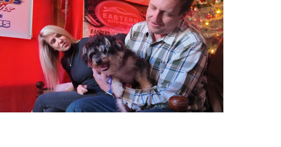 Baywater Animal Rescue and Cambridge Rescue Fire Company partner to get shelter dogs adopted