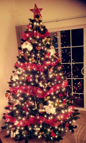 Corey Passwaters tree salisbury