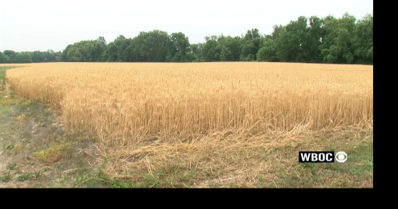 Smyrna Development Proposal Raises Concerns over Congestion and