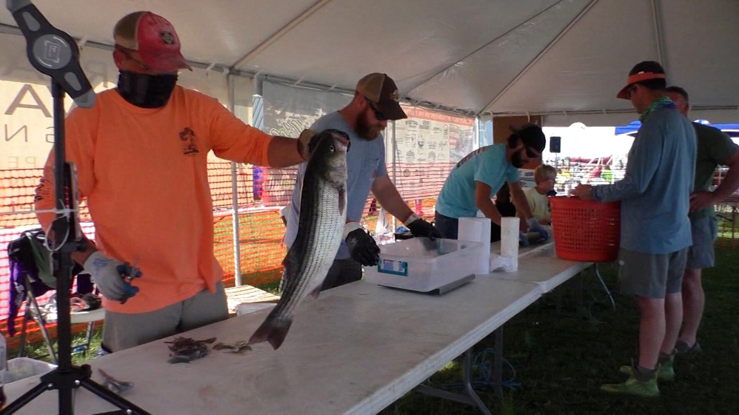 New Striped Bass Recreational Regulations Spark Concerns Among Charter Boat Captains Latest