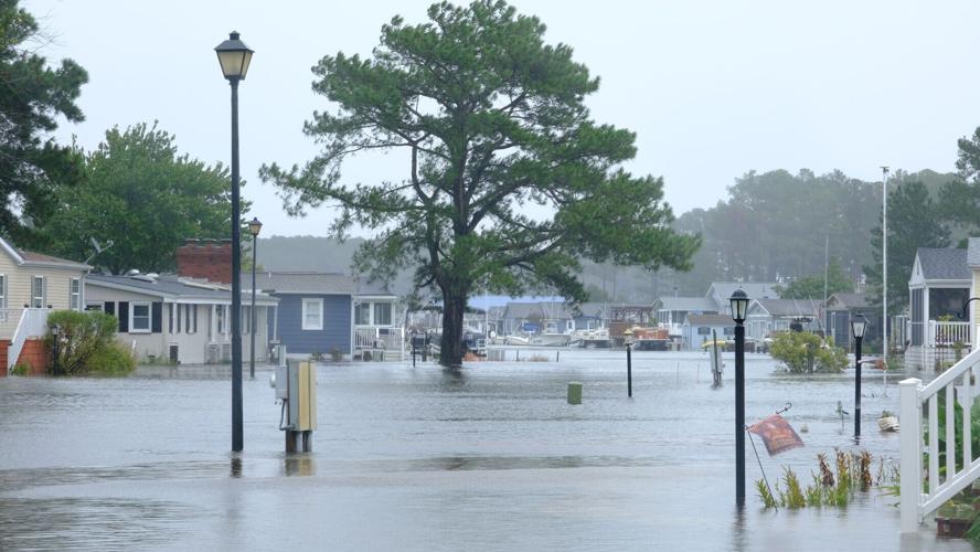 A street filled with water, with a lamp post in the foreground and single tree in the background.