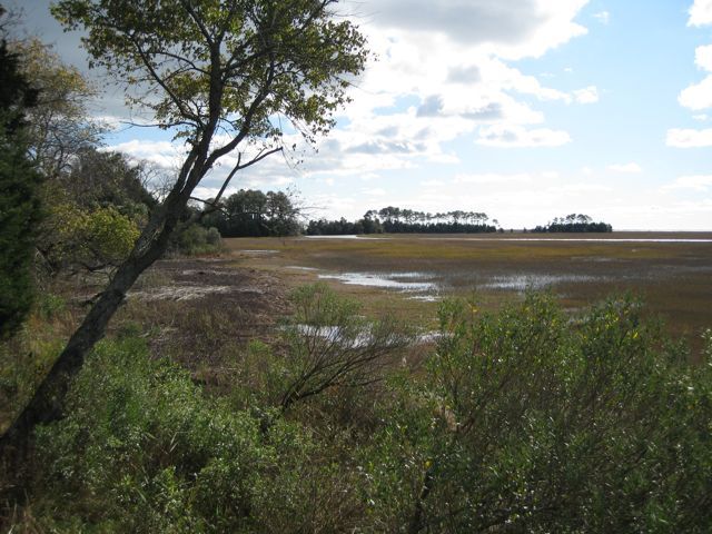 blue skye 4-18-09 153