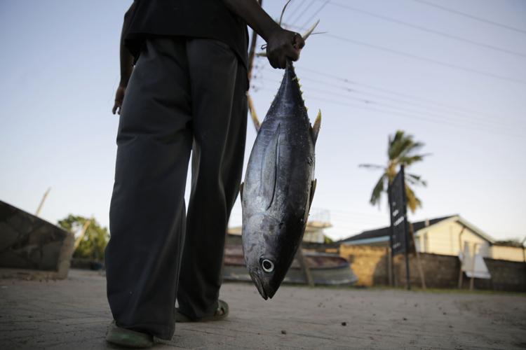 WTO Fisheries Subsidies