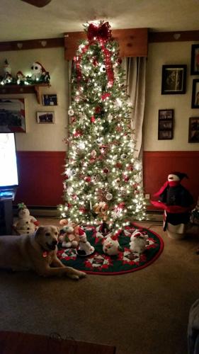 The-Greenes-in-Blades