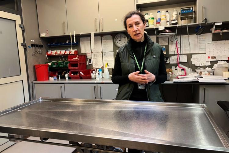 Poland Bird Hospital