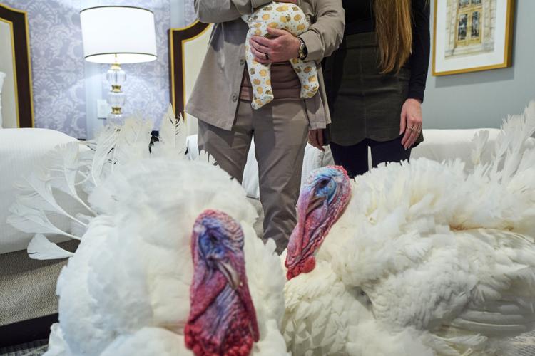 Trump Turkey Pardon