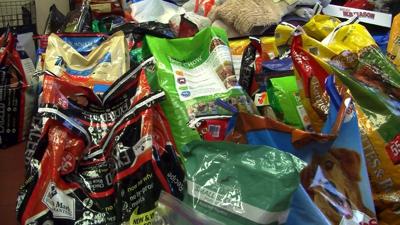 Community Support Still Going Strong for Rescued Pups