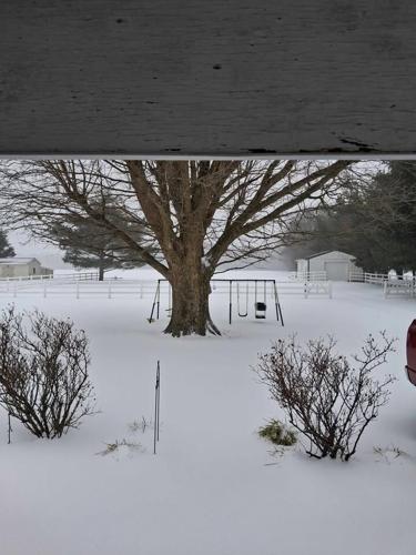 Lisa Jan Walls Griffith - Milford.jpg