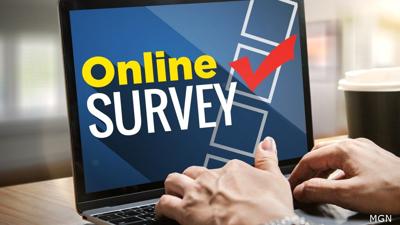 Online Survey