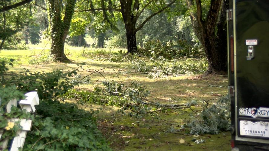 Severe Storm Makes Mess in Marydel