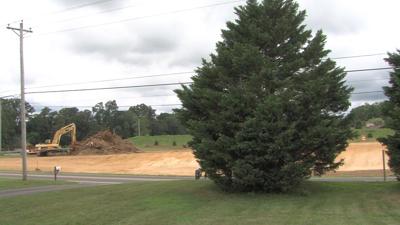 Kent County Road Widening Project Sparks Disappointment Over Tree Removal