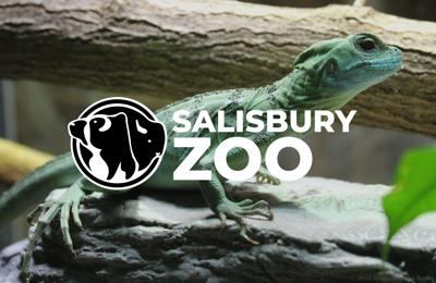 Salisbury Zoo New Logo
