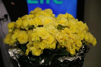 IMG_5356