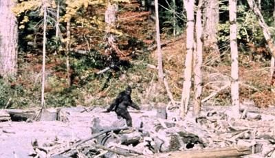 Patterson_Gimlin_Bigfoot.jpg