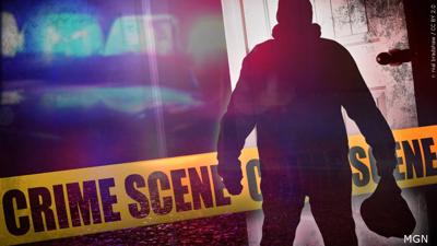 Two Teens Arrested for Burglary in Millsboro
