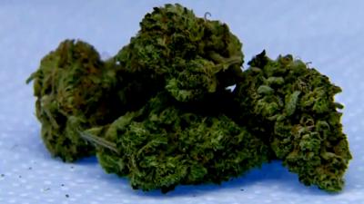 Weed