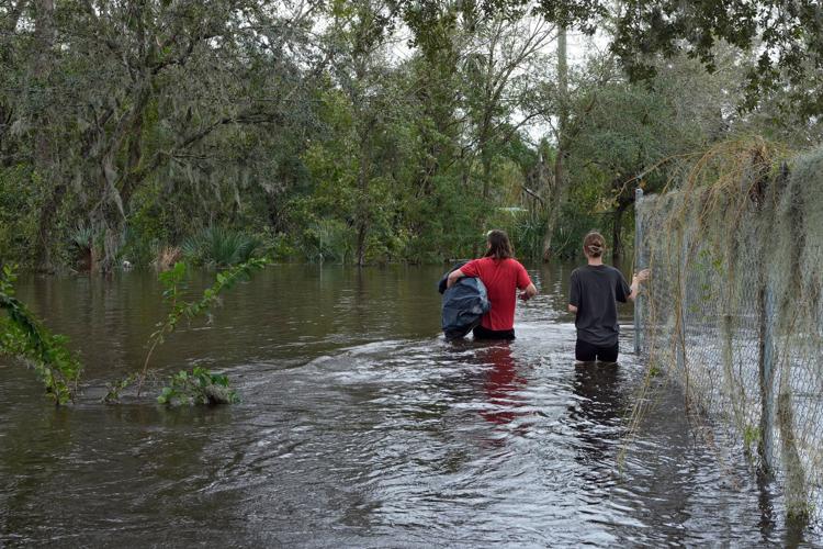 Climate No Hurricanes
