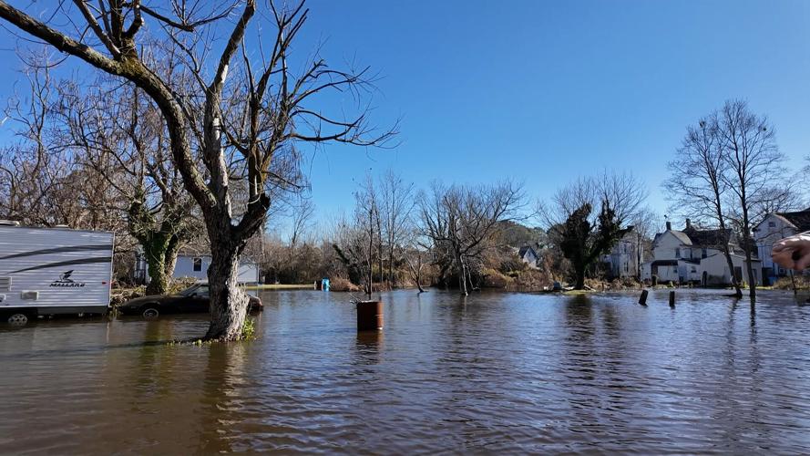 Backyard Flooded in Crisfield