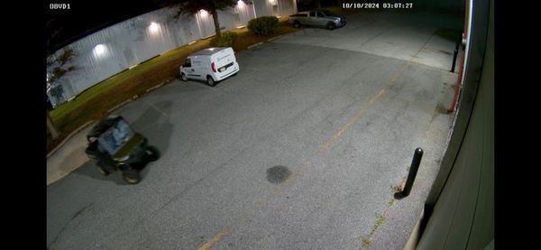Smyrna burglary