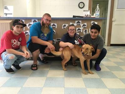 Local Animal Shelters Taking in Dogs, Cats from Harvey