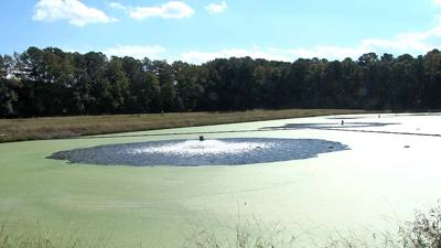 Secretary, East New Market Seeking 5 Million For Wastewater Treatment Plant
