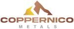 Coppernico Metals Closes $5.5 Million LIFE Offering