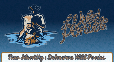Delmarva Shorebirds Wild Ponies