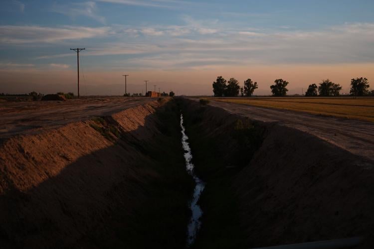 California Farmer Wife's Killing