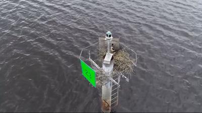 SKYCAM-16-OSPREY-NESTS.00_00_55_16.Still003