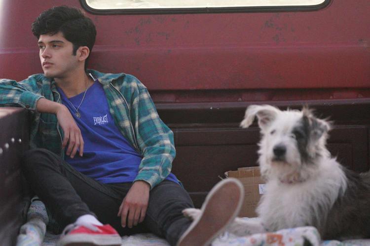 Aristotle and Dante Discover the Secrets of the Universe5