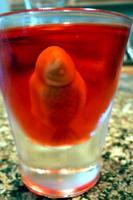 enhanced-buzz-17316-1312215668-0