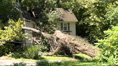 Tree Falls Into Home