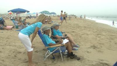 Annual Dolphin Count Draws Record Number of Volunteers