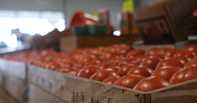 Farmers Market Thefts Raise Alarms Throughout Delmarva - Vimarsana News