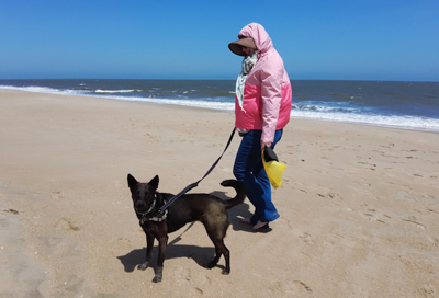 Dog and Owner on Poodle Beach
